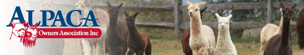 AlpacaGram 5.28